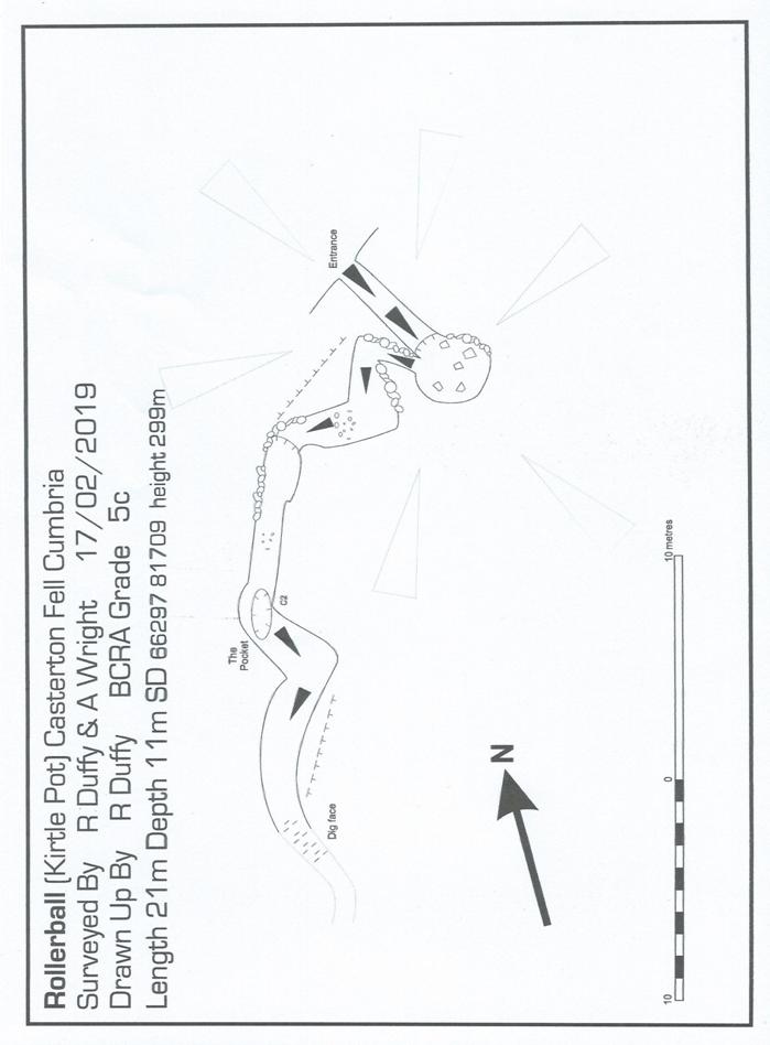 Rollerball Survey.jpg