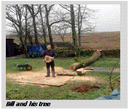 Text Box:  
Bill and his tree
